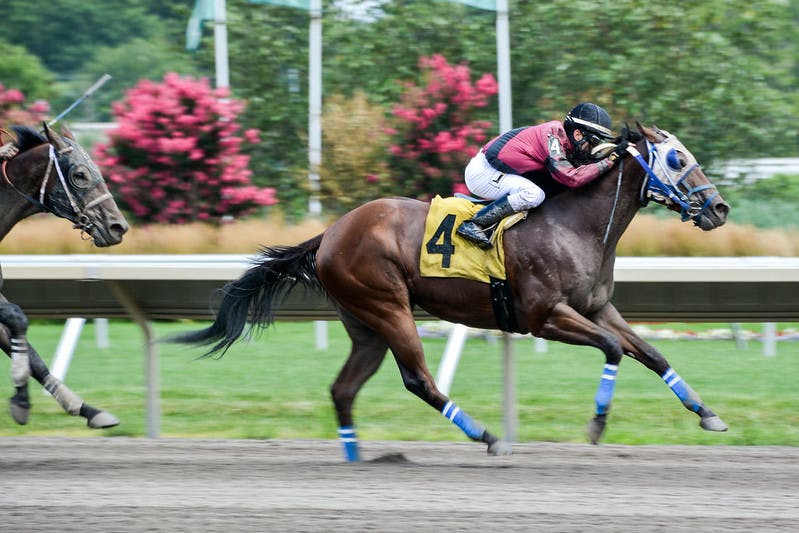 Dubai World Cup (Horse Racing)